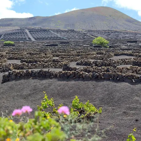 Apartment Tea-rose Loft Conil