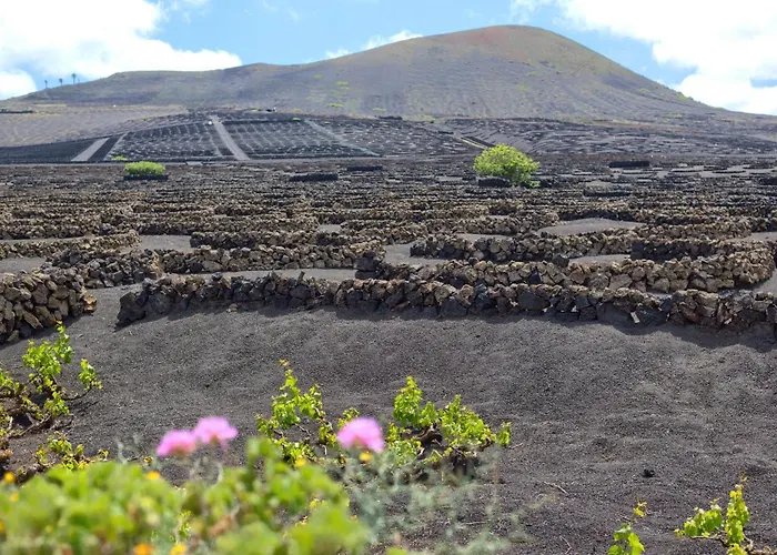 Apartament Tea-rose Loft Conil
